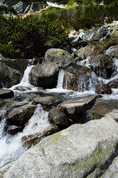 Kayalık Dağlık Nehirde Akan Görünümünü — Stok fotoğraf