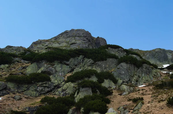 Χαμηλή Γωνία Θέα Στο Λόφο Πράσινο Θάμνους — Φωτογραφία Αρχείου