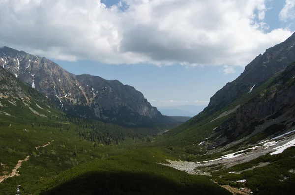 Pittoresca Vista Sulle Montagne Boschi Valle Sotto Cielo Nuvoloso — Foto Stock