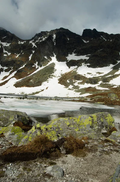 göl ve karlı kayalar ile doğal peyzaj