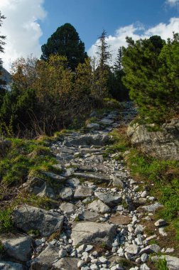 kaya, çalılar ve mavi bulutlu gökyüzü altında uzak rock ile yeşil ağaçlar yolu yapılmış