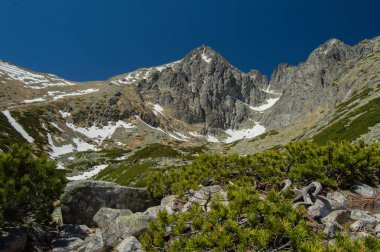 yeşillikler, kar ve mavi gökyüzü ile dağlık manzara