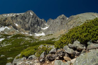 yeşillikler, kar ve mavi gökyüzü ile dağlık manzara