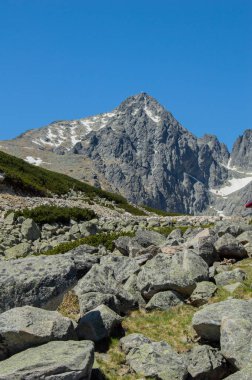 Dağlık doğal görünümü ile yeşil parlak güneş ışığı altında