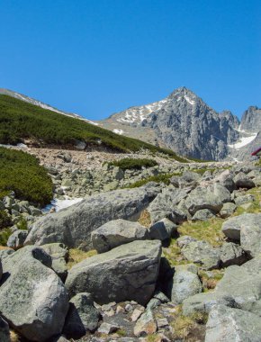 Dağlık doğal görünümü ile yeşil parlak güneş ışığı altında
