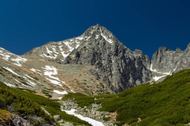 Dağlık doğal görünümü ile yeşil parlak güneş ışığı altında