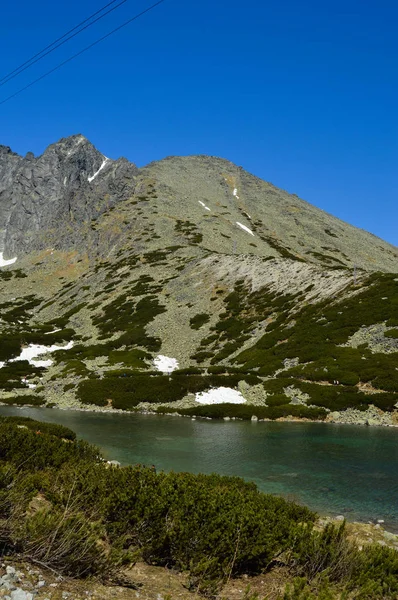 Paysage Montagneux Avec Verdure Luxuriante Neige Ciel Bleu — Photo