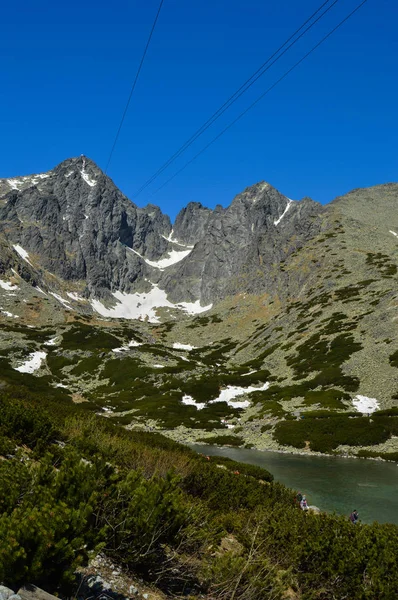 Mountainous Landscape Lush Greenery Snow Blue Sky — Stock Photo, Image