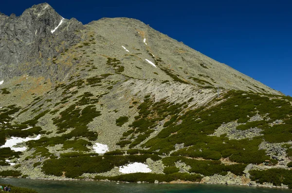 Hornatá Krajina Bujnou Zelení Sníh Modrá Obloha — Stock fotografie