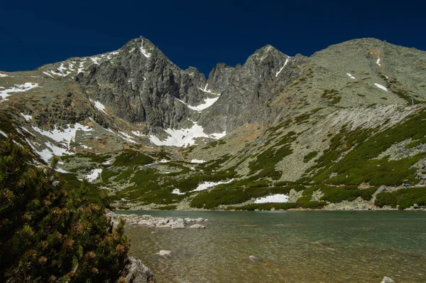 山地景观 郁郁葱葱的绿地 雪和湖泊 — 图库照片