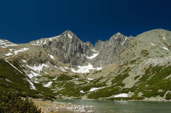 Ορεινό Τοπίο Πλούσια Βλάστηση Χιόνι Και Λίμνη — Φωτογραφία Αρχείου