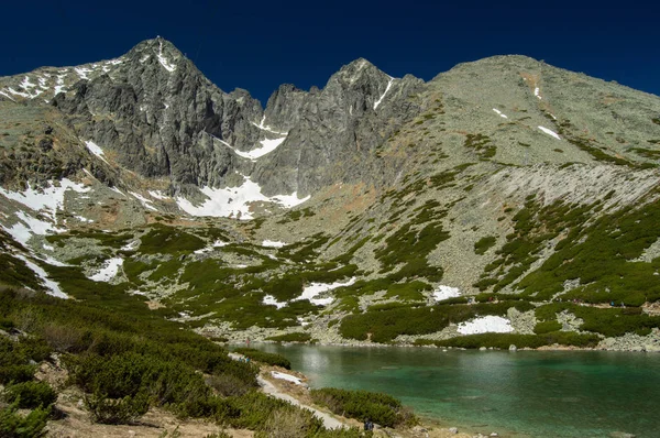 Berglandschaft Mit Üppigem Grün Schnee Und See — Stockfoto