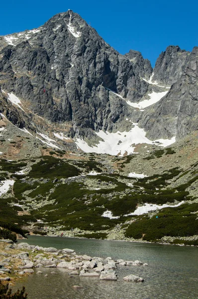 Paisaje Montañoso Con Exuberante Vegetación Nieve Lago — Foto de Stock