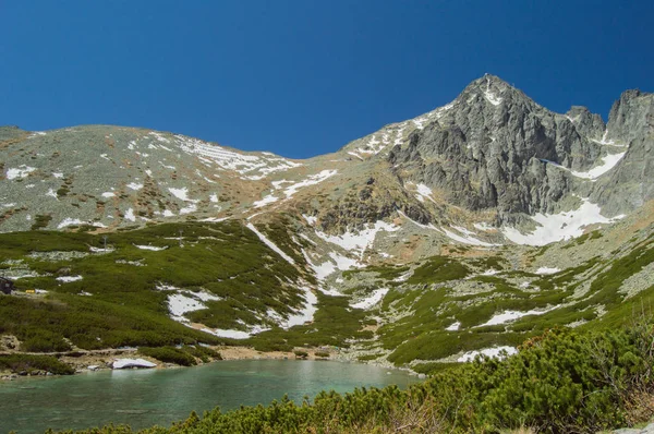 雪と湖 緑豊かな山岳の風景 — ストック写真