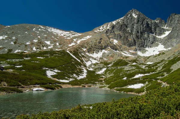Mountainous Landscape Lush Greenery Snow Lake — Stock Photo, Image