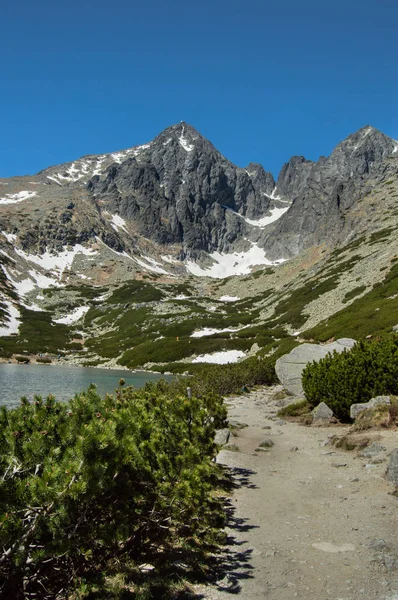 Hornatá Krajina Bujnou Zelení Sníh Jezero — Stock fotografie