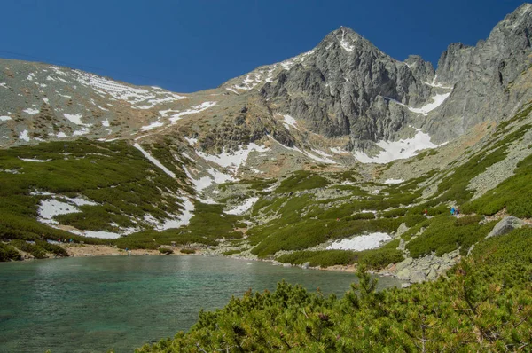 Ορεινό Τοπίο Πλούσια Βλάστηση Χιόνι Και Λίμνη — Φωτογραφία Αρχείου