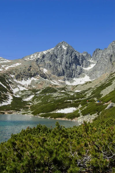 Paisaje Montañoso Con Exuberante Vegetación Nieve Lago —  Fotos de Stock