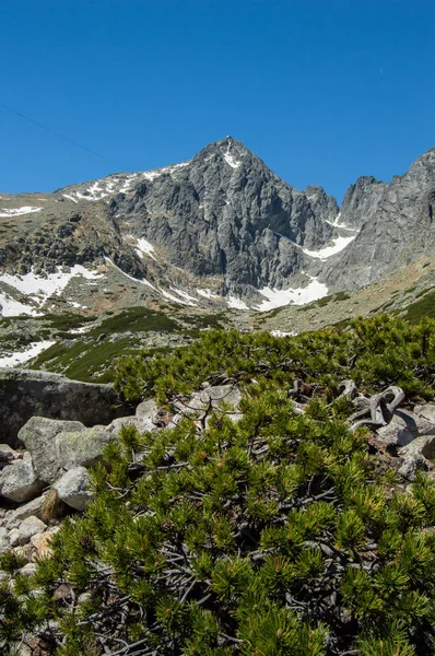 Hornatá Krajina Bujnou Zelení Sníh Modrá Obloha — Stock fotografie