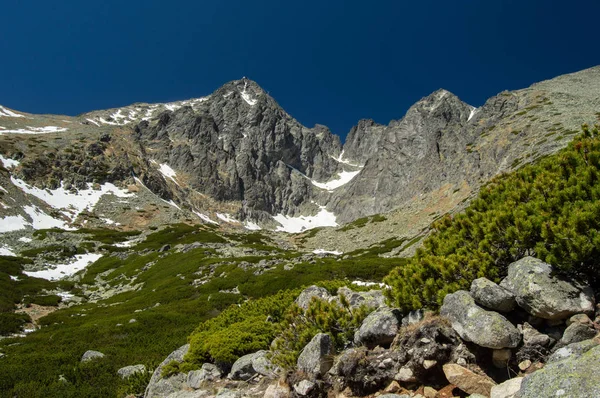 Mountainous Landscape Lush Greenery Snow Blue Sky — Stock Photo, Image