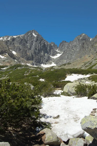 Paesaggio Montuoso Con Vegetazione Lussureggiante Neve Cielo Blu — Foto Stock