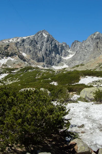 Ορεινό Τοπίο Πλούσια Βλάστηση Χιόνι Και Γαλάζιο Του Ουρανού — Φωτογραφία Αρχείου