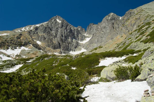 Mountainous Landscape Lush Greenery Snow Blue Sky — Stock Photo, Image