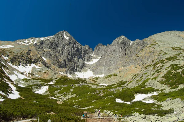 Mountainous Landscape Lush Greenery Snow Blue Sky — Stock Photo, Image