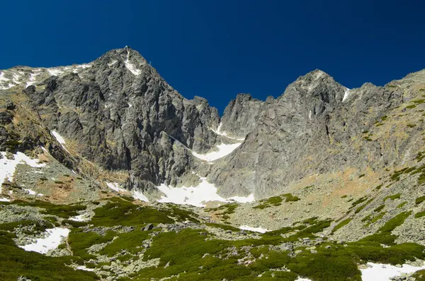 Bergige Landschaft Mit Üppigem Grün Schnee Und Blauem Himmel — Stockfoto