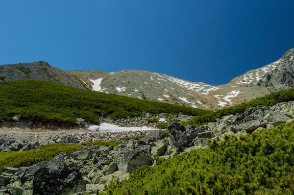 Vista Panorâmica Montanhosa Com Vegetação Luz Solar Brilhante — Fotografia de Stock