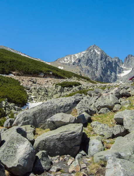 Dağlık doğal görünümü ile yeşil parlak güneş ışığı altında