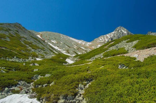 Vista Panorâmica Montanhosa Com Vegetação Luz Solar Brilhante — Fotografia de Stock