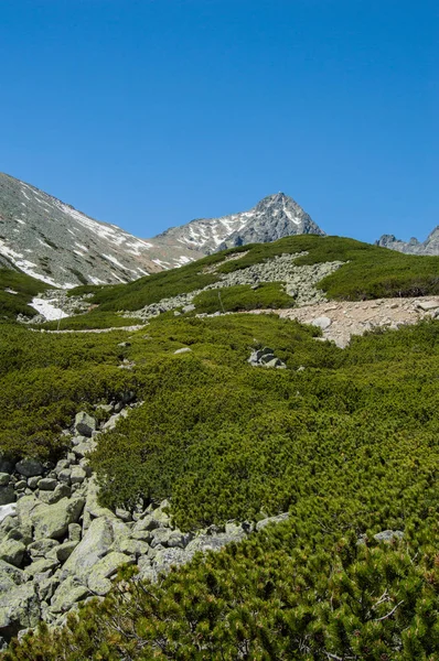 Vista Panorâmica Montanhosa Com Vegetação Luz Solar Brilhante — Fotografia de Stock