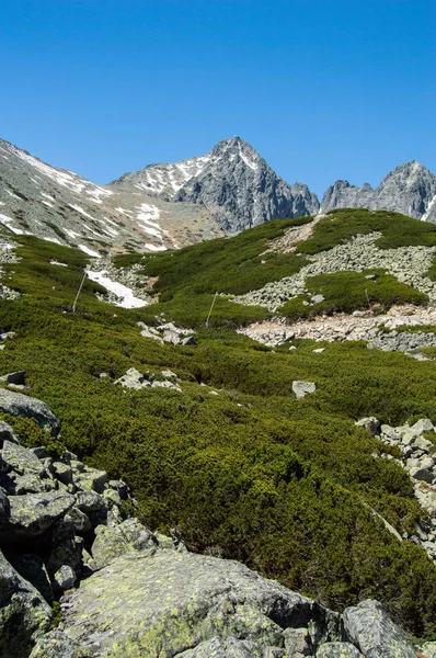 Dağlık doğal görünümü ile yeşil parlak güneş ışığı altında