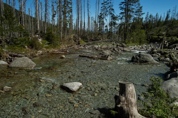 Vista Água Que Flui Rio Montanhoso Rochoso — Fotografia de Stock