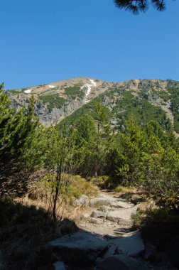 yeşillikler ve mavi gökyüzü ile dağların doğal görünümü
