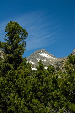 yeşillikler ve mavi gökyüzü ile dağların doğal görünümü