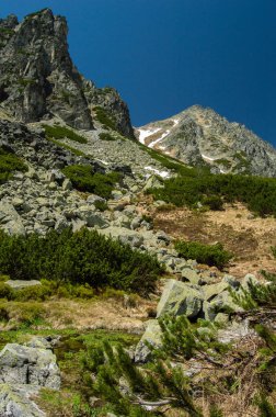 yeşillikler ve mavi gökyüzü ile dağların doğal görünümü