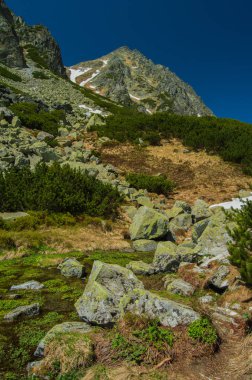yeşillikler ve mavi gökyüzü ile dağların doğal görünümü
