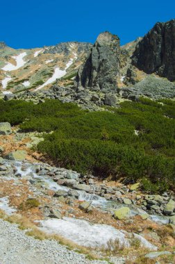 yeşillikler ve mavi gökyüzü ile dağların doğal görünümü