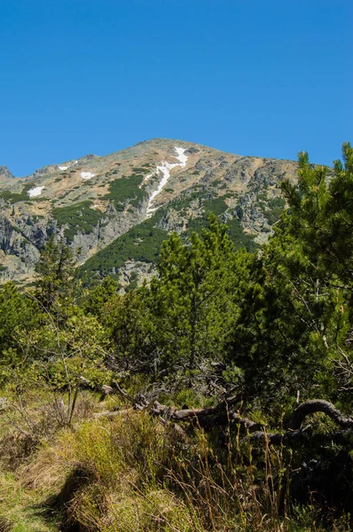 Vista Panorámica Las Montañas Con Exuberante Vegetación Cielo Azul —  Fotos de Stock