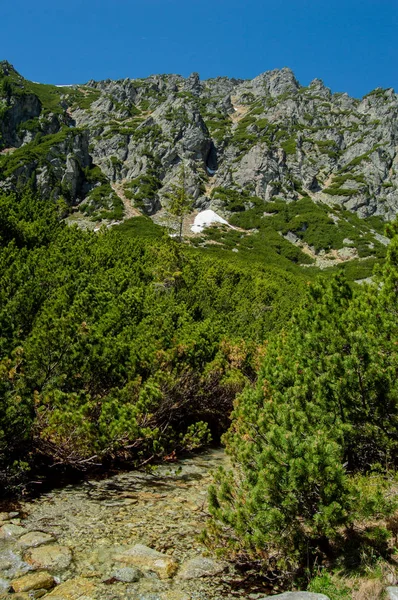 Vista Panorámica Las Montañas Con Exuberante Vegetación Cielo Azul —  Fotos de Stock