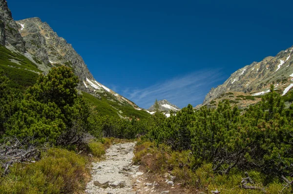 diminishing perspective view of pathway in mountainous landscape
