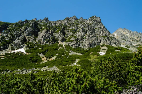 Vista Panorâmica Das Montanhas Com Vegetação Exuberante Céu Azul — Fotografia de Stock