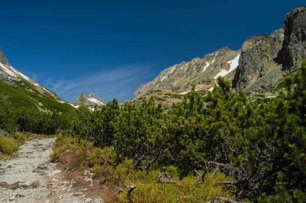 Mengurangi Pandangan Perspektif Tentang Jalur Dalam Lanskap Pegunungan — Stok Foto