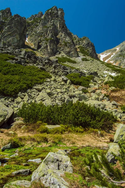 Живописный Вид Горы Пышной Зеленью Голубым Небом — стоковое фото