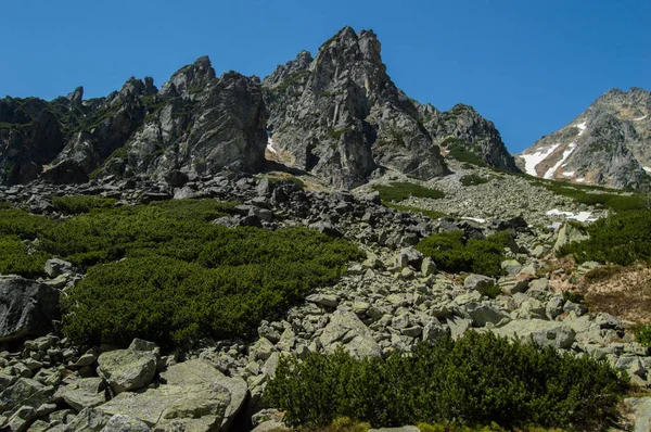 Vue Panoramique Sur Les Montagnes Avec Verdure Luxuriante Ciel Bleu — Photo