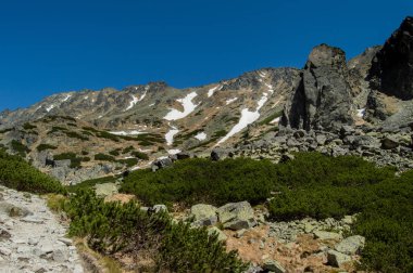 yeşillikler ve mavi gökyüzü ile dağların doğal görünümü