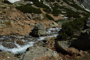 parlak güneş ışığı altında kayalık dağlık Nehri'nin akış