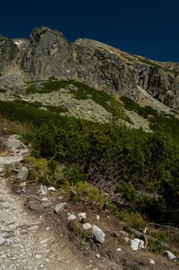 yeşillikler ve mavi gökyüzü ile dağların doğal görünümü